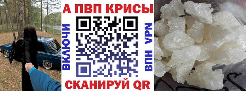 A PVP СК  Гулькевичи 