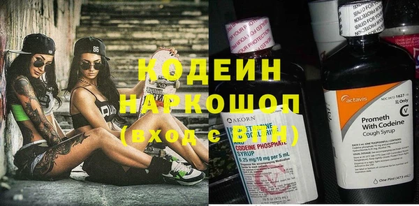 крисы Баксан