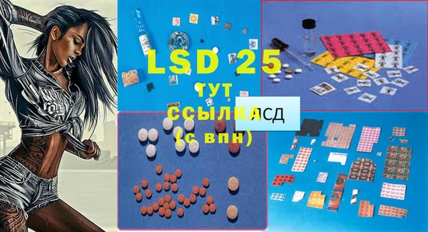 крисы Баксан